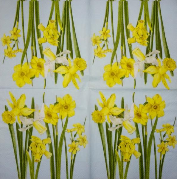 060 Daffodils - 3-ply - Herlitz